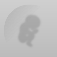 shadow-embryo