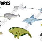 Sea-creatures-2D-Game-Assests