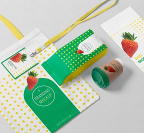 packaging-mockup